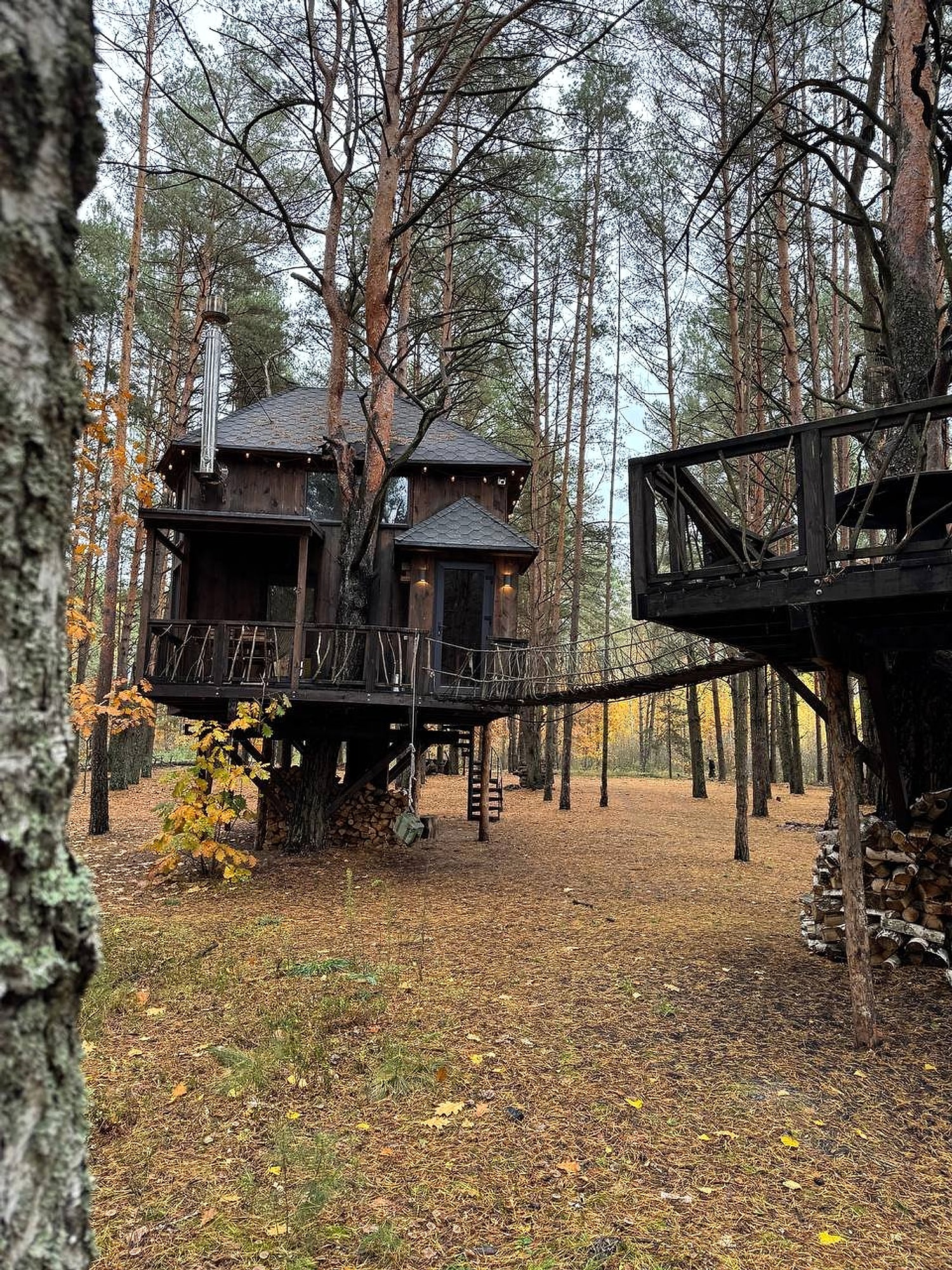 TreeHouse Lodge 1